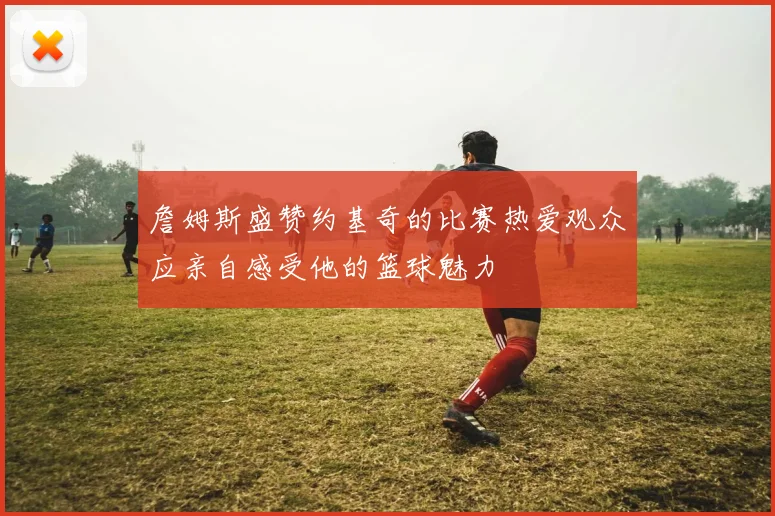 詹姆斯盛赞约基奇的比赛热爱观众应亲自感受他的篮球魅力