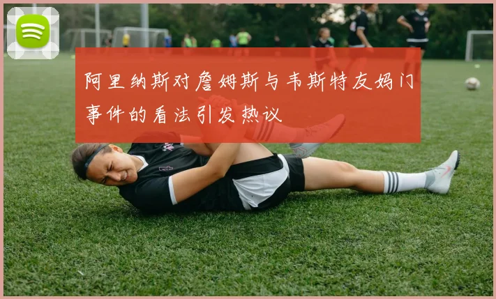 阿里纳斯对詹姆斯与韦斯特友妈门事件的看法引发热议