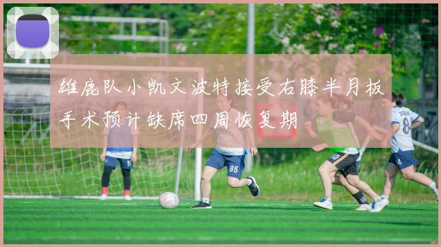 雄鹿队小凯文波特接受右膝半月板手术预计缺席四周恢复期