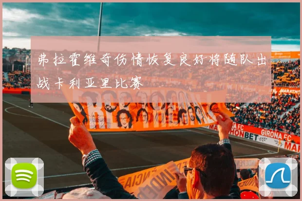 弗拉霍维奇伤情恢复良好将随队出战卡利亚里比赛