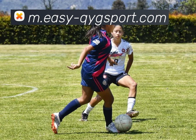 奇异果体育发展历程